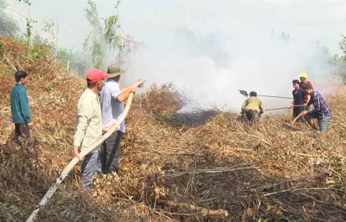 Khuyến nông - Sóc Trăng tăng cường công tác phòng cháy, chữa cháy rừng mùa khô (10-03-2020)